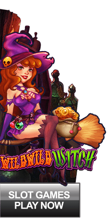 Wild Witches Описание Игрового Автомата